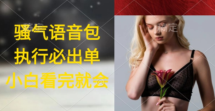 日入2000+,语音包实操教程,小白速成秘籍-网赚项目资源库