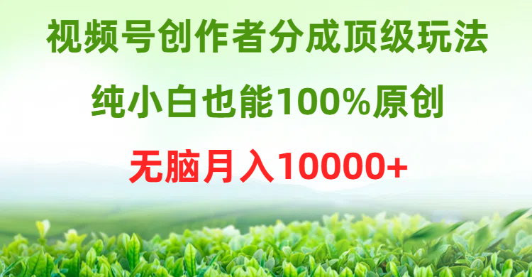 视频号创作者月入10000+的顶级玩法，纯小白也能100%原创-网赚项目资源库