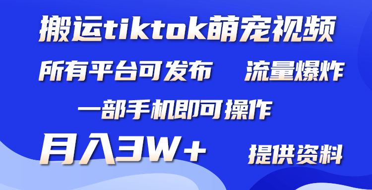 搬运Tiktok萌宠视频，一部手机轻松操作，月入3W+-网赚项目资源库