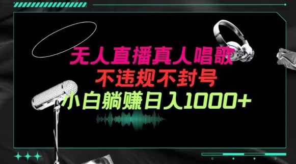 抖音24小时无人直播音乐，无违规、不封号，小白操作日入1000+-网赚项目资源库