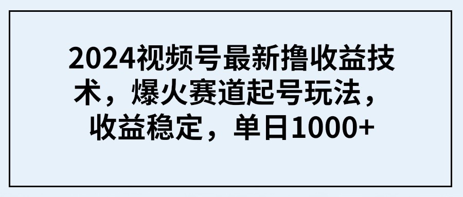 2024年视频号收益技术揭秘：爆火起号策略，日入1000+-网赚项目资源库
