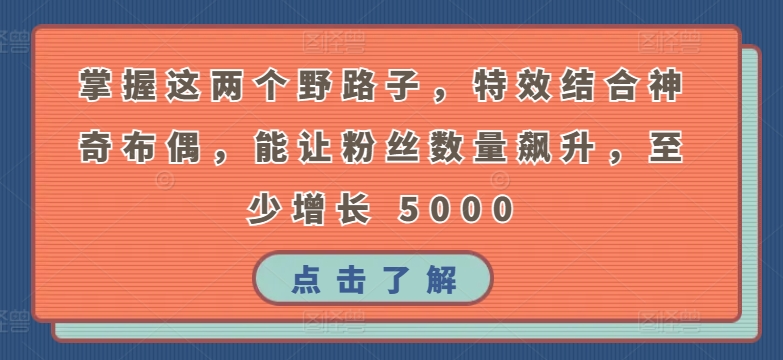 掌握这两个技巧，特效结合神奇布偶，粉丝数量至少增长5000-网赚项目资源库
