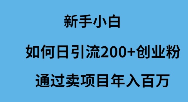 新手如何日引流200+创业粉?年入百万的卖项目秘籍-网赚项目资源库