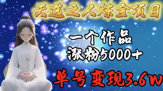 天选之人炼金项目：作品涨粉5000+，单号变现3.6w-网赚项目资源库