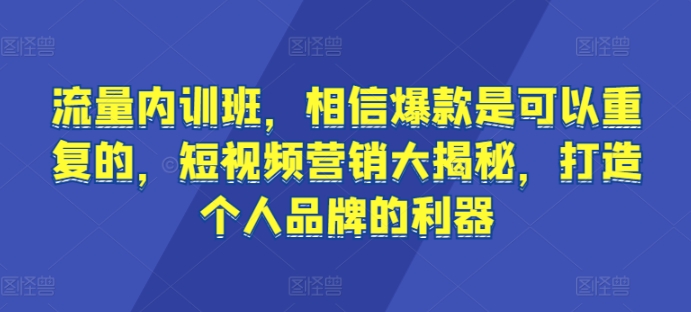 短视频营销揭秘：打造个人品牌，流量内训班揭秘爆款可重复性-网赚项目资源库