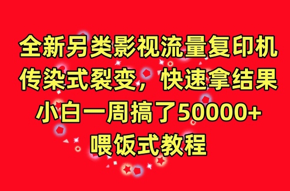 全新另类影视流量复印机：快速裂变，小白一周50000+收益教程-网赚项目资源库