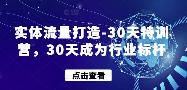 30天特训营:实体流量打造,30天成为行业标杆-网赚项目资源库