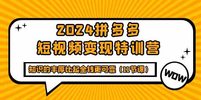 2024拼多多短视频变现特训营：知识的力量超越金钱价值（11节课程）-网赚项目资源库