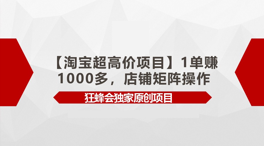 淘宝高利润项目:单笔收益超1000元,店铺矩阵运营技巧-网赚项目资源库