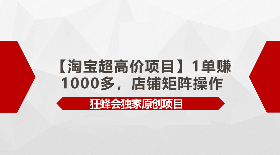 淘宝高利润项目：单笔收益超1000元，店铺矩阵运营策略-网赚项目资源库