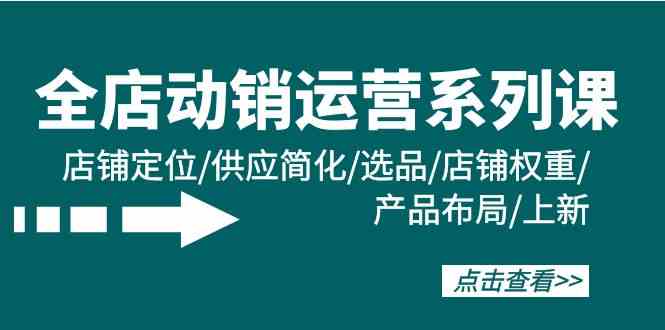 全店动销运营系列课：店铺定位、供应简化、选品策略、权重提升、产品布局与上新技巧-网赚项目资源库