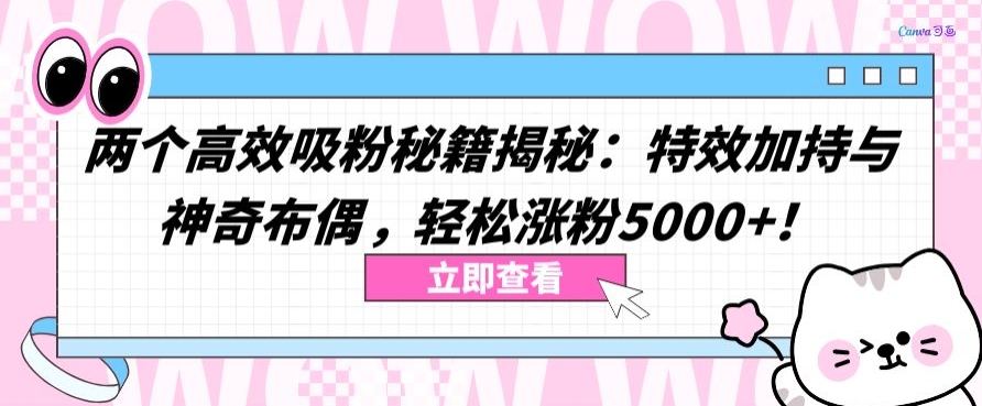 揭秘：特效加持与神奇布偶，轻松涨粉5000+-网赚项目资源库