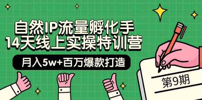 自然IP流量孵化手14天线上实操特训营【第9期】月入5w+百万爆款打造 (74节 -网赚项目资源库