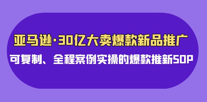 亚马逊30亿大卖新品推广：可复制的爆款推新SOP实操教程-网赚项目资源库