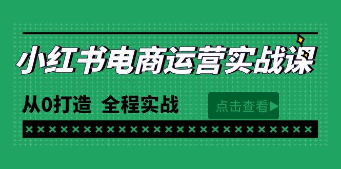 小红书电商运营实战课程：零基础到精通，65节视频全程指导-网赚项目资源库