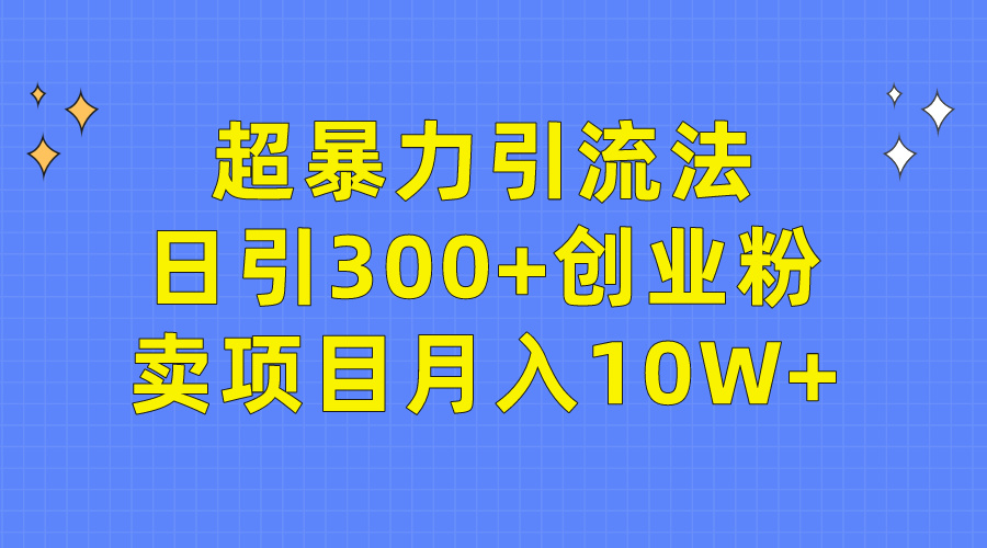 超暴力引流法，日引300+创业粉，卖项目月入10W+-网赚项目资源库