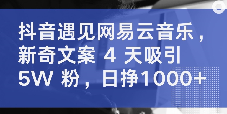 抖音与网易云音乐结合，4天吸引5万粉丝，日赚1000+-网赚项目资源库