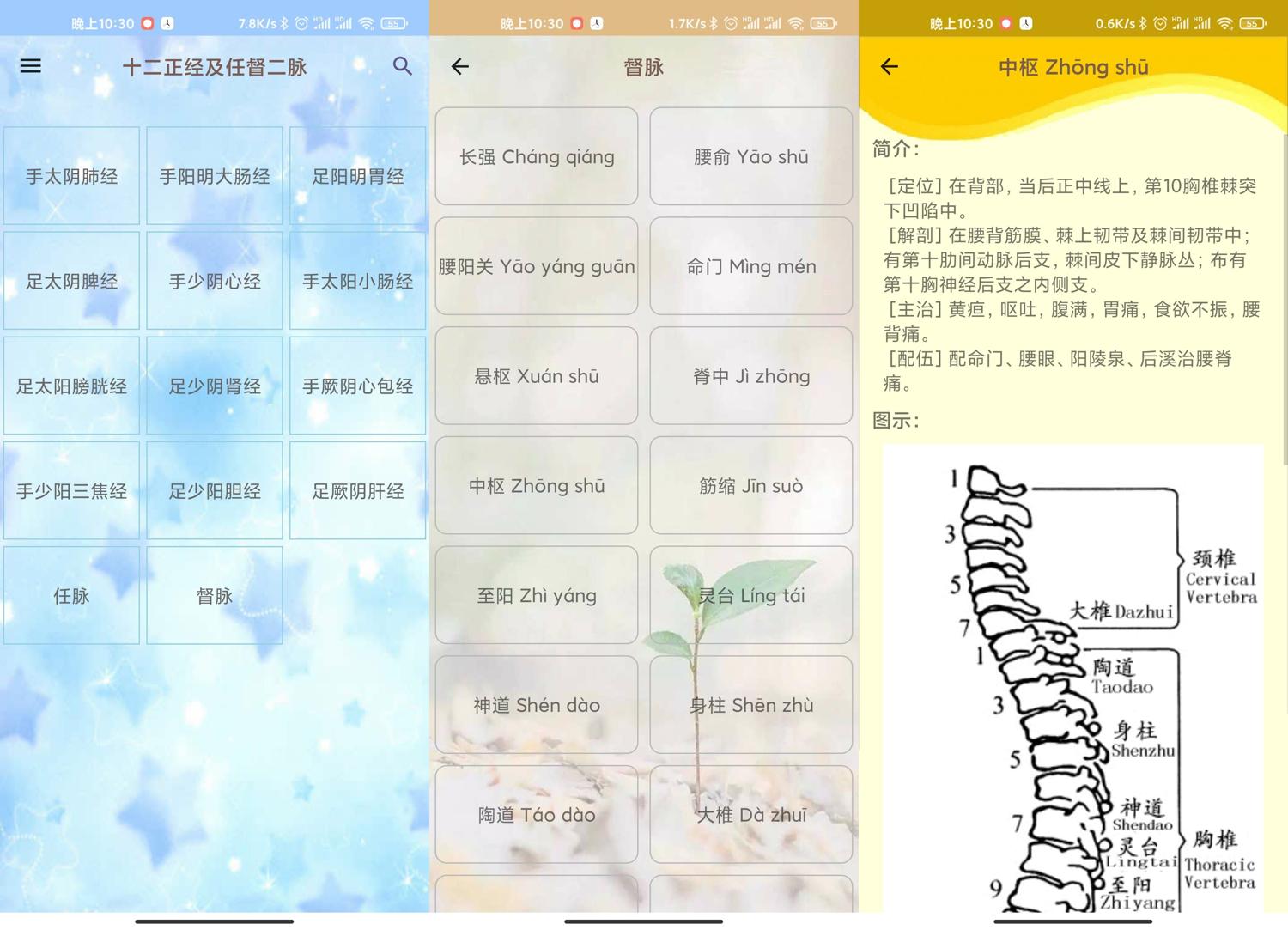安卓人体穴位图解v3.1.3离线版下载-网赚项目资源库