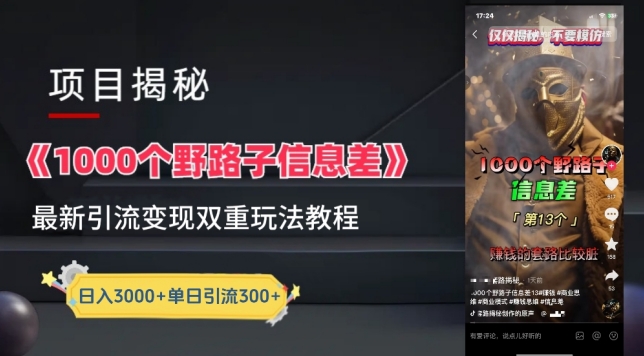 揭秘一千个野路子信息差最新变现引流技巧-网赚项目资源库