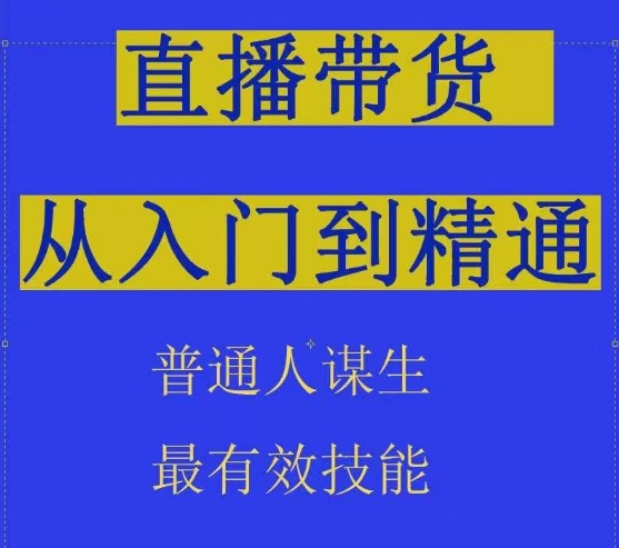 2024抖音直播带货技巧：普通人如何通过直播间实现高效谋生-网赚项目资源库