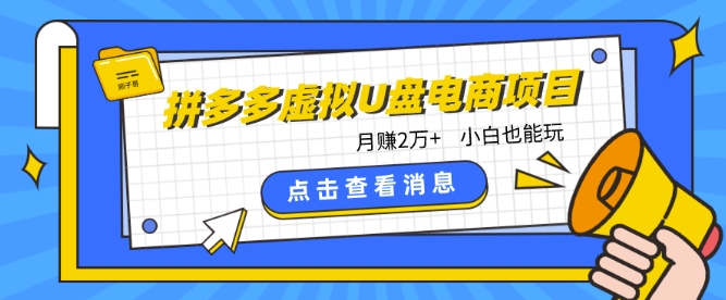 拼多多虚拟U盘电商项目：月入2万+，新手小白轻松上手-网赚项目资源库