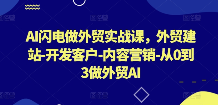AI闪电外贸实战课程:从0到3打造外贸AI解决方案-网赚项目资源库