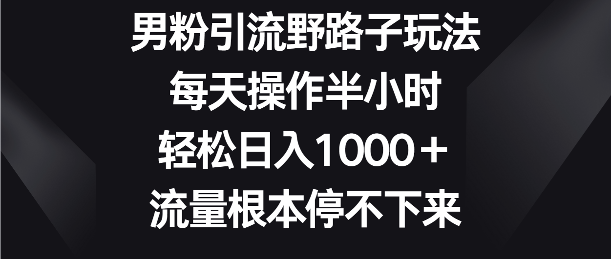 揭秘男性粉丝引流技巧，每日轻松赚取1000+，流量源源不断-网赚项目资源库