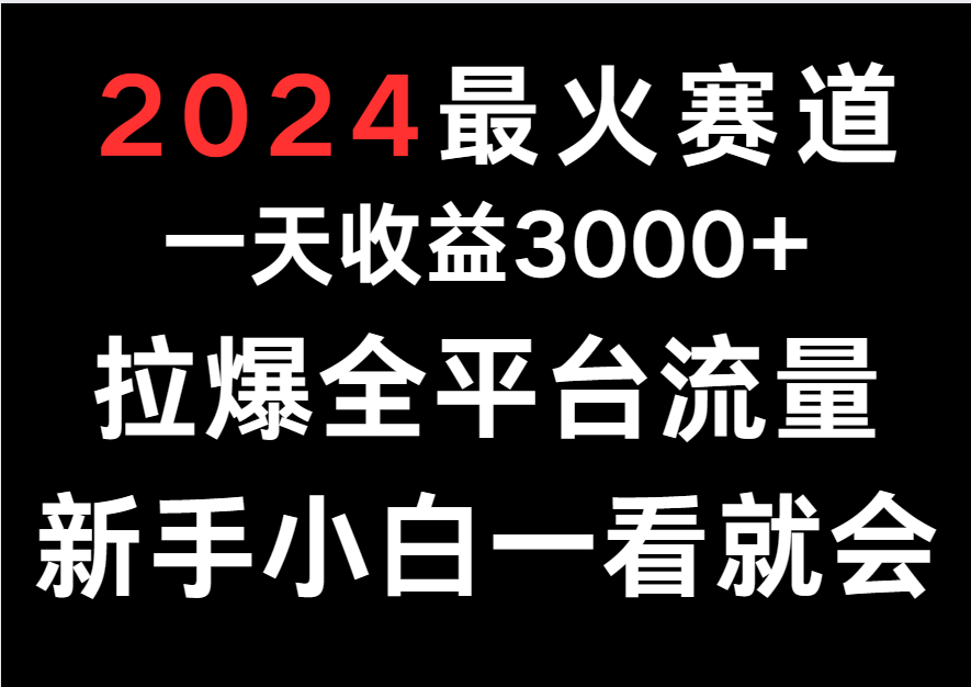 2024年热门赚钱项目，日入3000+轻松掌握，新手小白也能快速上手-网赚项目资源库