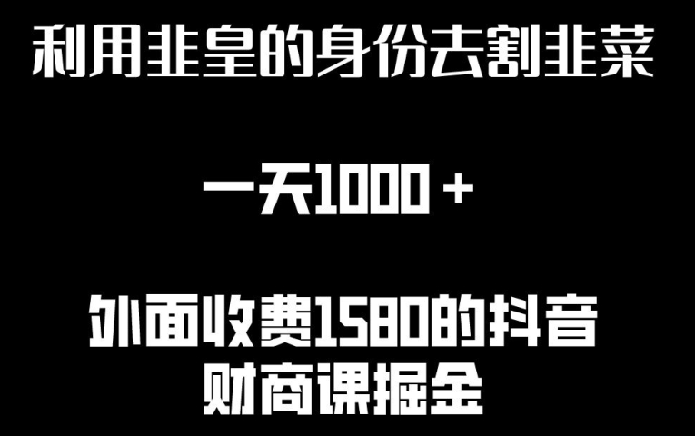 揭秘非皇身份赚钱术：日赚1000+的秘诀与资源分享-网赚项目资源库