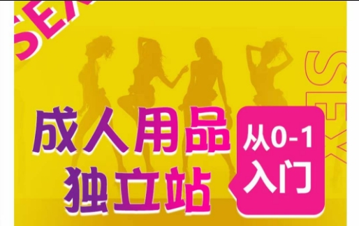 成人用品独立站运营全流程教学：从0到1，七大热销成品推荐-网赚项目资源库
