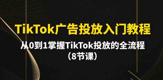 TikTok广告投放入门教程：8节课掌握从0到1的全流程-网赚项目资源库