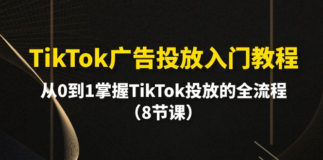 TikTok广告投放入门教程：8节课掌握从0到1的全流程-网赚项目资源库