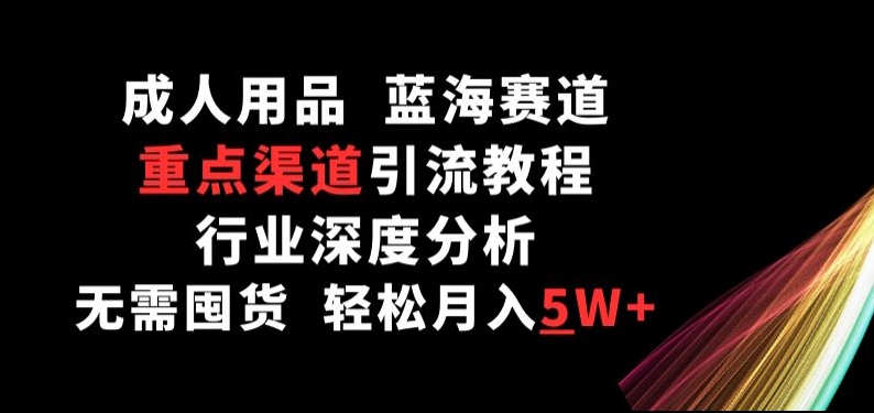 成人用品市场蓝海商机，重点渠道引流教程，行业深度解析，轻松月入5W+-网赚项目资源库