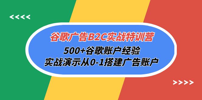 谷歌广告B2C实战特训营：500+经验分享，实战演示搭建广告账户-网赚项目资源库