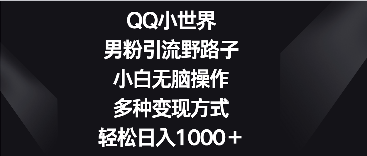 QQ小世界男粉引流技巧，小白轻松日入1000+多种变现方式-网赚项目资源库