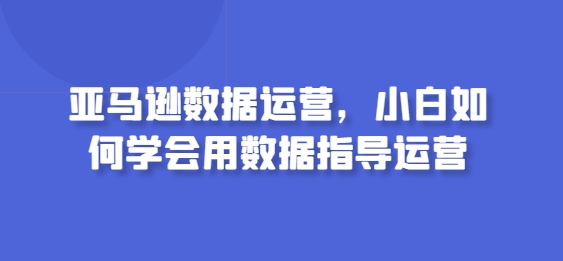 亚马逊数据运营：新手指南，如何用数据指导业务-网赚项目资源库