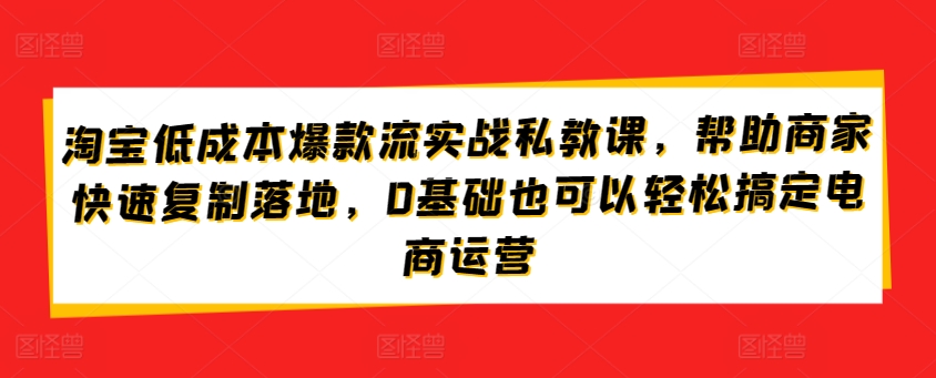 淘宝低成本爆款实战私教课：0基础电商运营，商家快速复制成功-网赚项目资源库