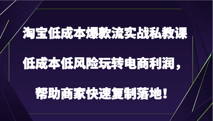 淘宝低成本爆款实战私教课：电商利润快速复制与落地指南-网赚项目资源库