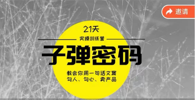 《子弹密码训练营》21天掌握顶尖文案策略，吸引客户-网赚项目资源库
