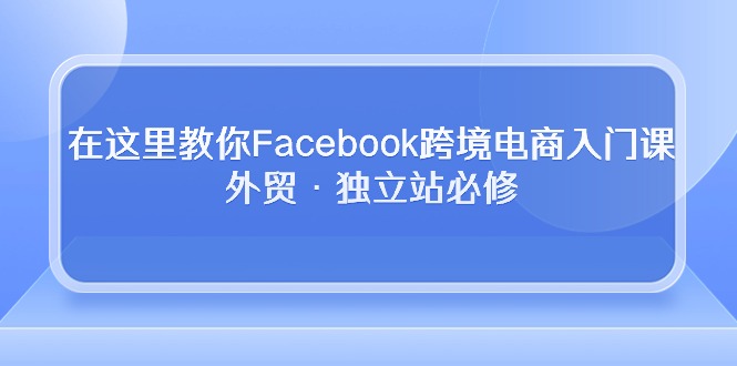 Facebook跨境电商入门课程:外贸与独立站必备知识-网赚项目资源库