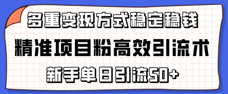 新手单日引流50+，精准项目粉高效引流术，多重变现方式稳定赚钱-网赚项目资源库