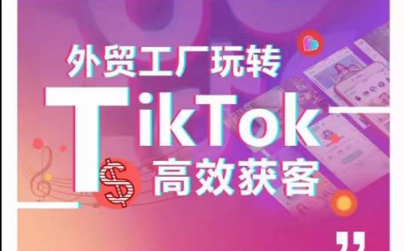 外贸工厂如何通过TikTok高效获客？掌握多种引流策略与账号定位技巧，打造爆款短视频成功案例-网赚项目资源库