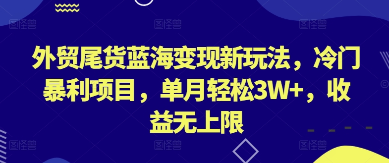 外贸尾货蓝海变现新策略，冷门暴利项目单月轻松3W+，收益无上限-网赚项目资源库