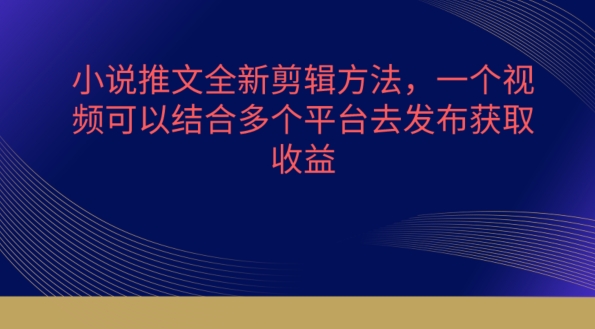 小说推文新技巧:一个视频多平台发布,高效获取流量-网赚项目资源库