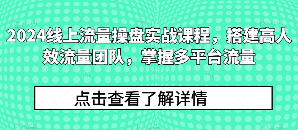2024线上流量操盘实战课程：构建高效团队，精通多平台流量管理-网赚项目资源库