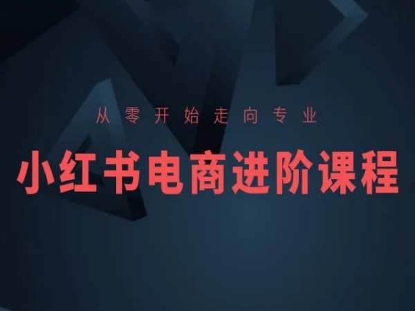小红书电商进阶课程：从零到专业成长之路-网赚项目资源库