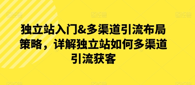 独立站运营与多渠道引流策略：详解如何通过多渠道吸引客户-网赚项目资源库