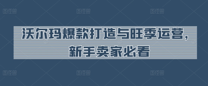 沃尔玛爆款打造与旺季运营，新手卖家必看-网赚项目资源库