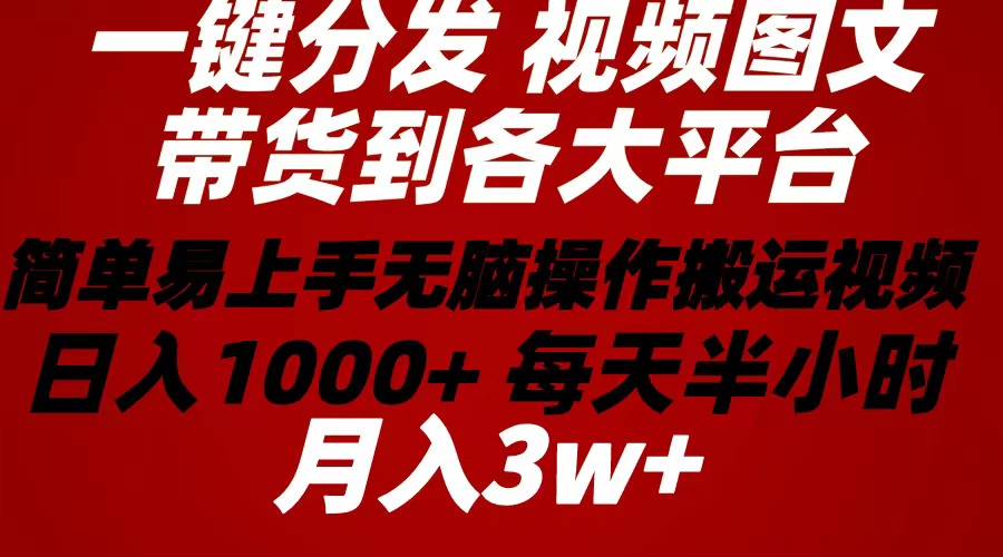 2024年：一键分发带货图文视频，简单易上手，轻松日入100+-网赚项目资源库