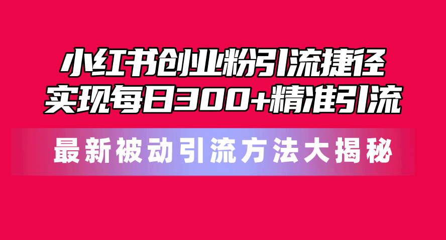小红书创业粉引流技巧：揭秘最新被动引流方法，每日300+精准流量轻松获取-网赚项目资源库